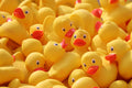 Ducks (Bundle)